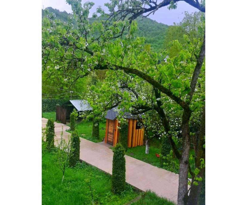 Green Garden B&B Dilidjan Extérieur photo